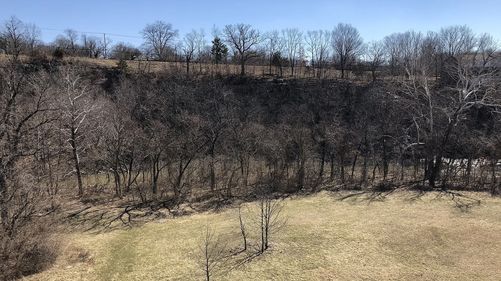 Selling a house near Hinkson Creek in Columbia, Missouri