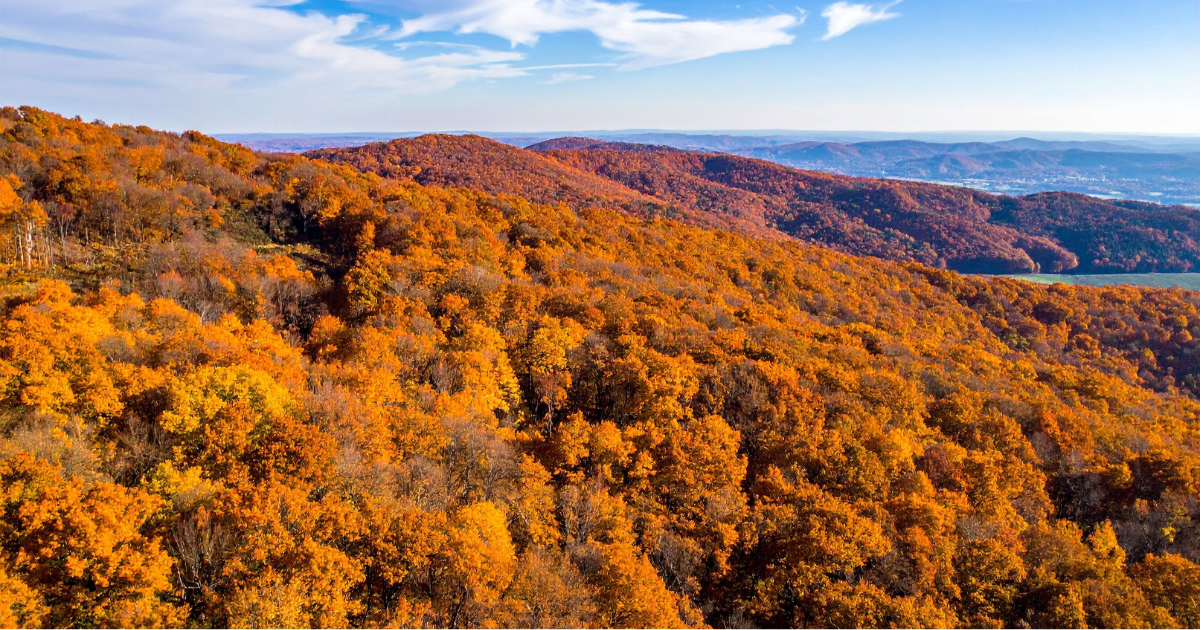 Knoxville neighborhoods where investors pay top dollar