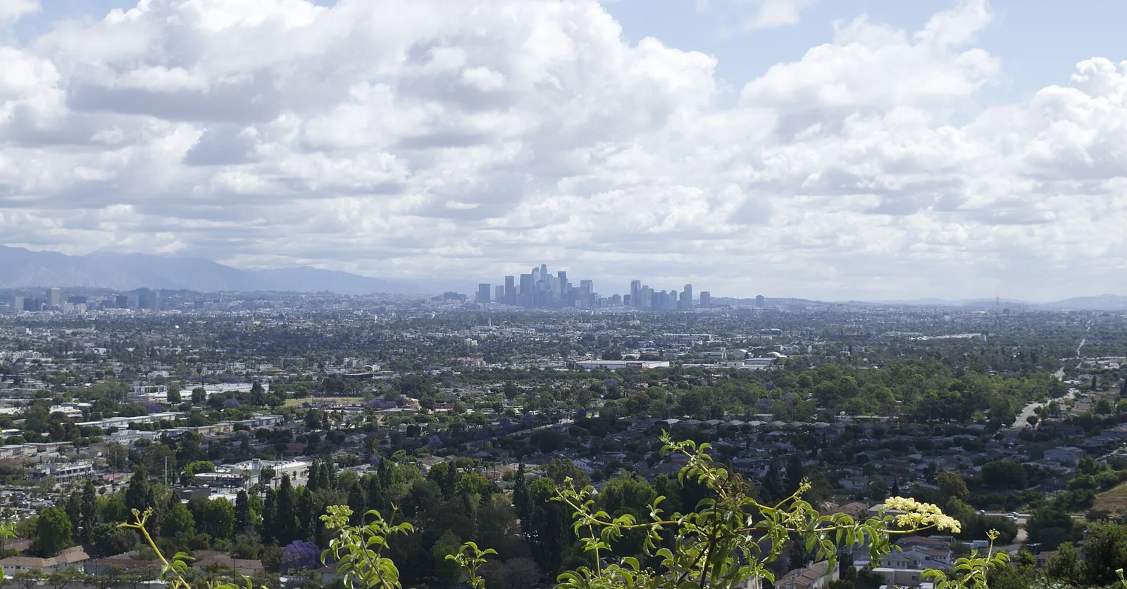 Best way to sell your house for cash in Los Angeles, California, top options and companies compared