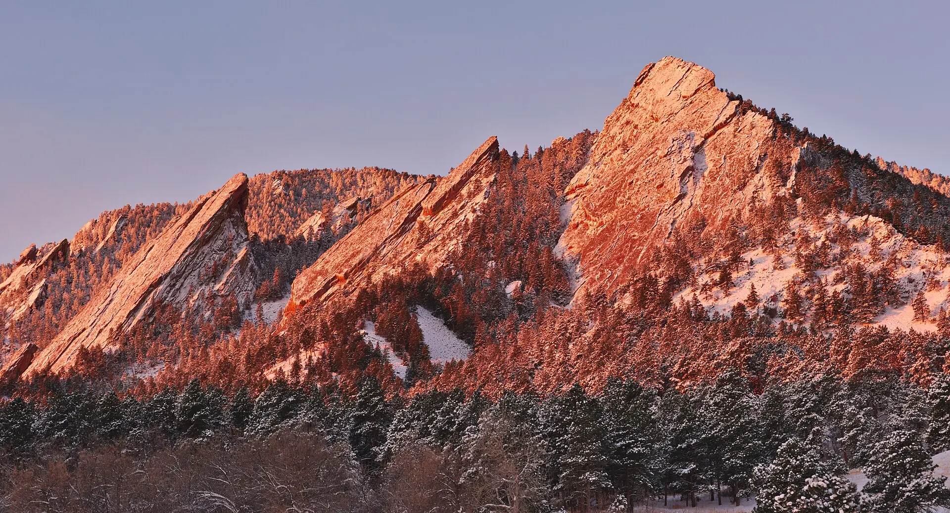 A tree-lined Newlands street in north Boulder with older houses set below the foothills.