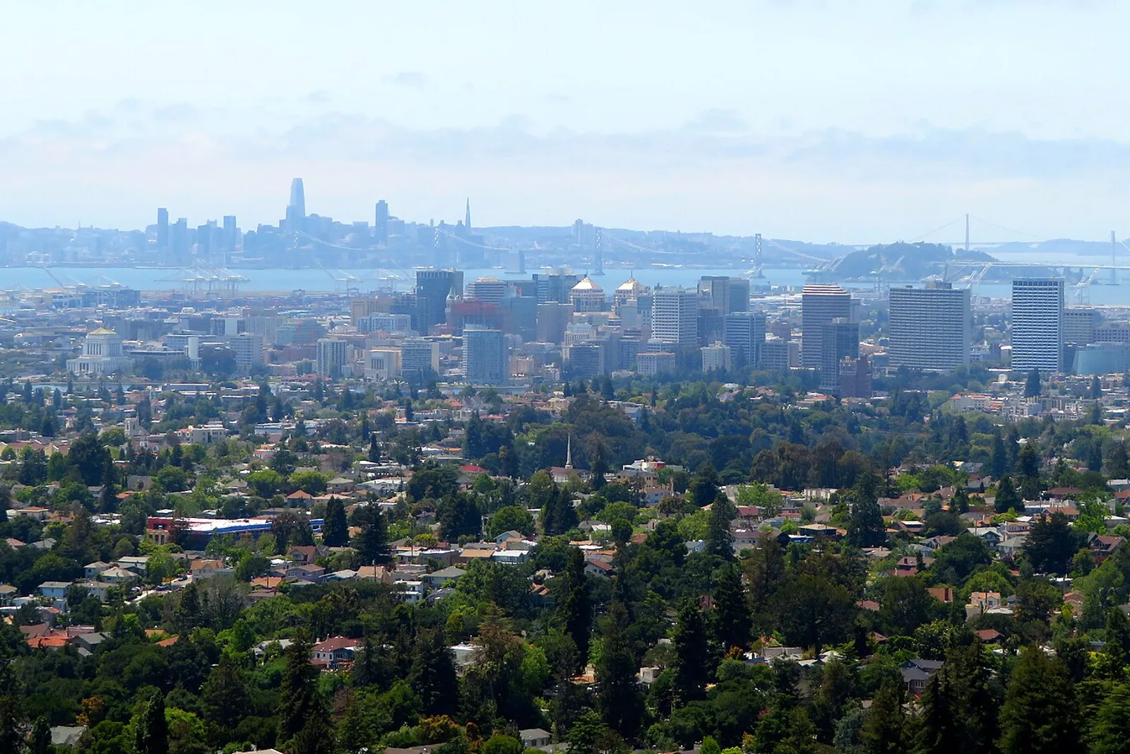 Downtown Oakland towers rising above tree-lined Oakland neighborhoods, seen from the hills on a clear day