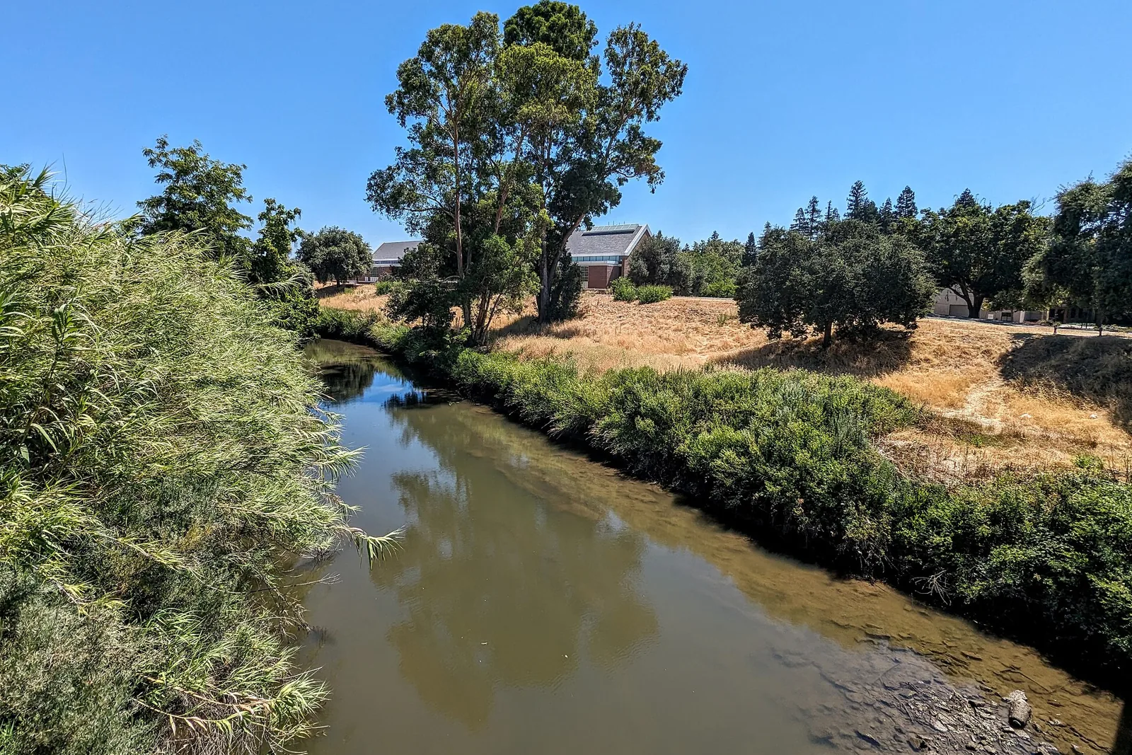 The Calaveras River lined with trees and dry grass beside the University of the Pacific campus in Stockton