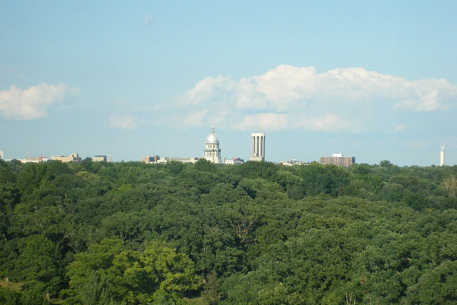 The Illinois State Capitol dome rising above a wooded park in Springfield, Illinois, on a summer day