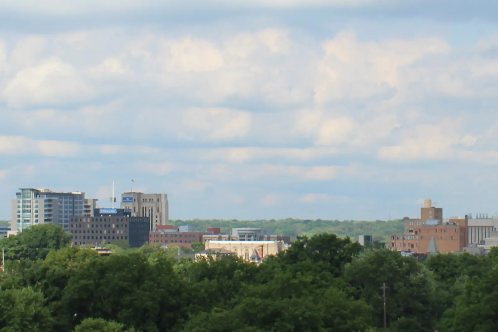 Downtown Kalamazoo skyline rising above the treetops under a partly cloudy sky