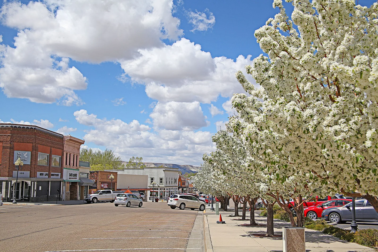 Flowering crabapple trees line a downtown Rock Springs, Wyoming street in spring, with historic brick storefronts and a bluff beyond under a blue sky with white clouds.