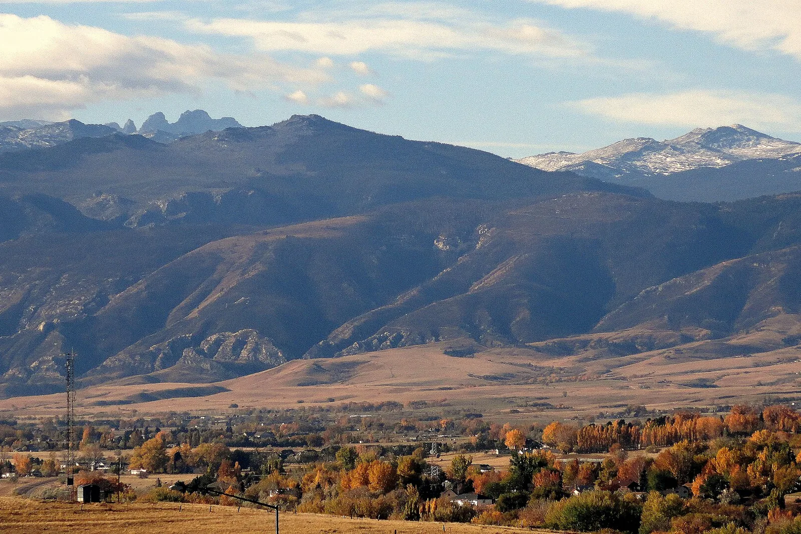 Late-afternoon autumn view of the Bighorn Mountains rising above golden cottonwoods and houses on the edge of Sheridan, Wyoming, with snow on the high peaks.