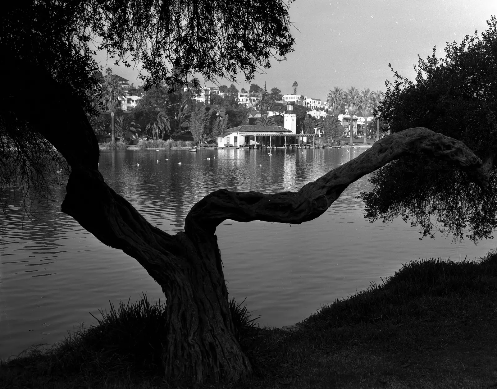 The boathouse across the water at Echo Park Lake