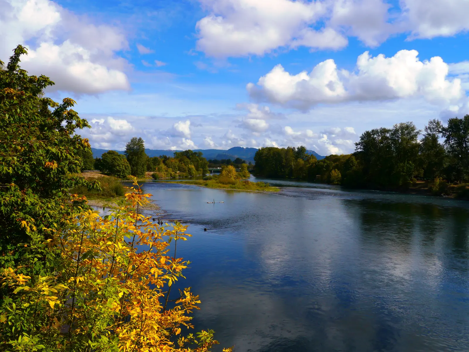 The Willamette River along the River Road area of north Eugene