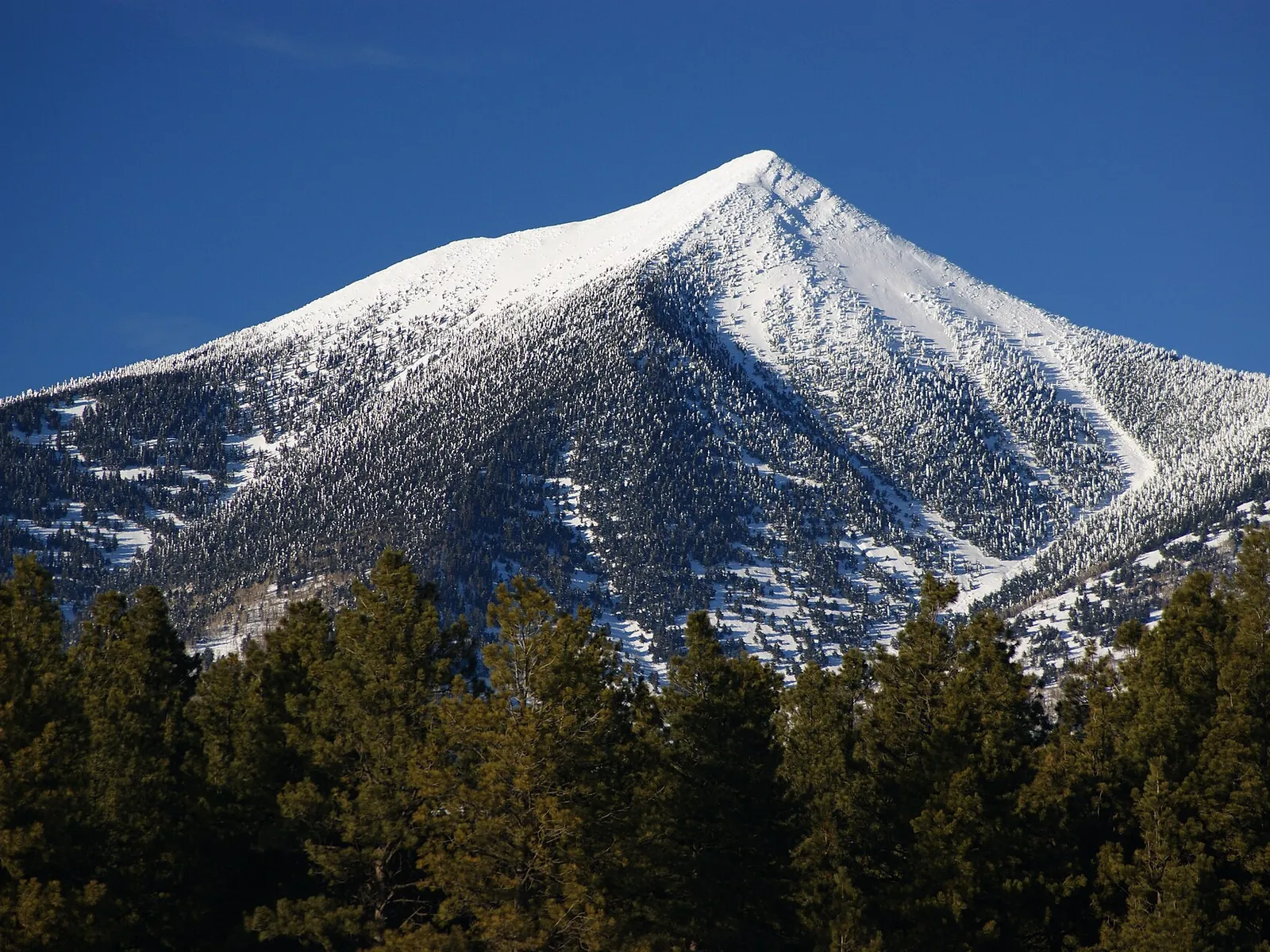 Snow on the San Francisco Peaks above Flagstaff, Arizona