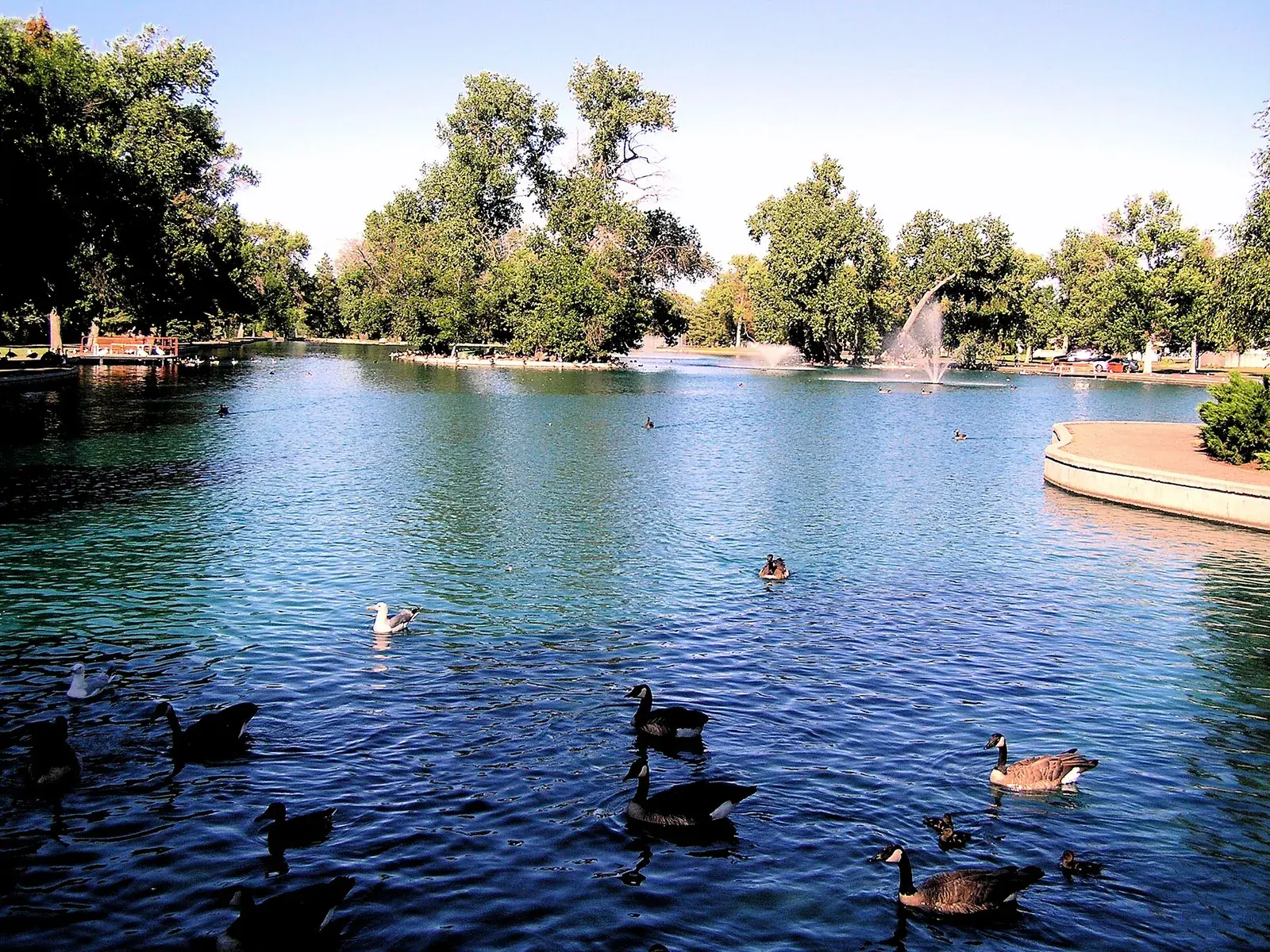 The duck pond at Gibson Park in Great Falls, Montana