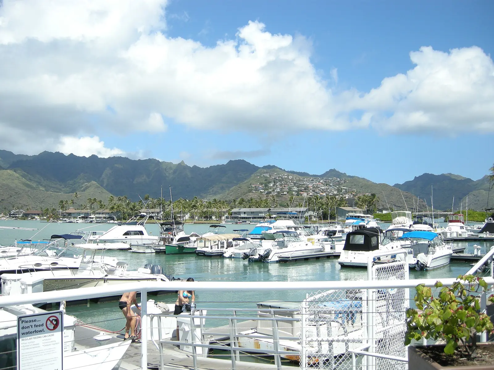 The Hawaii Kai marina in East Oahu lined with waterfront houses
