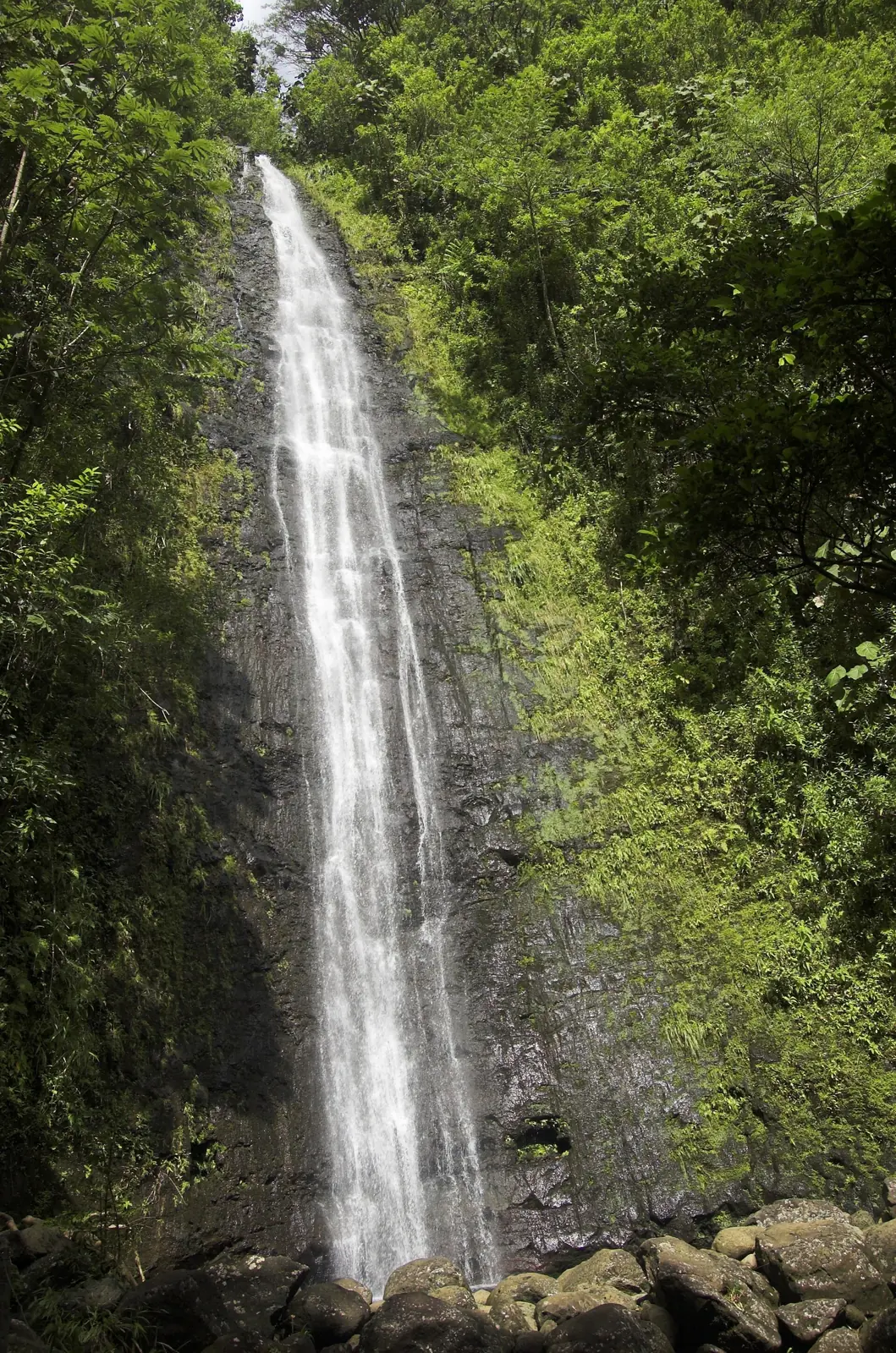 Manoa Falls at the head of the lush, rainy Manoa Valley on Oahu