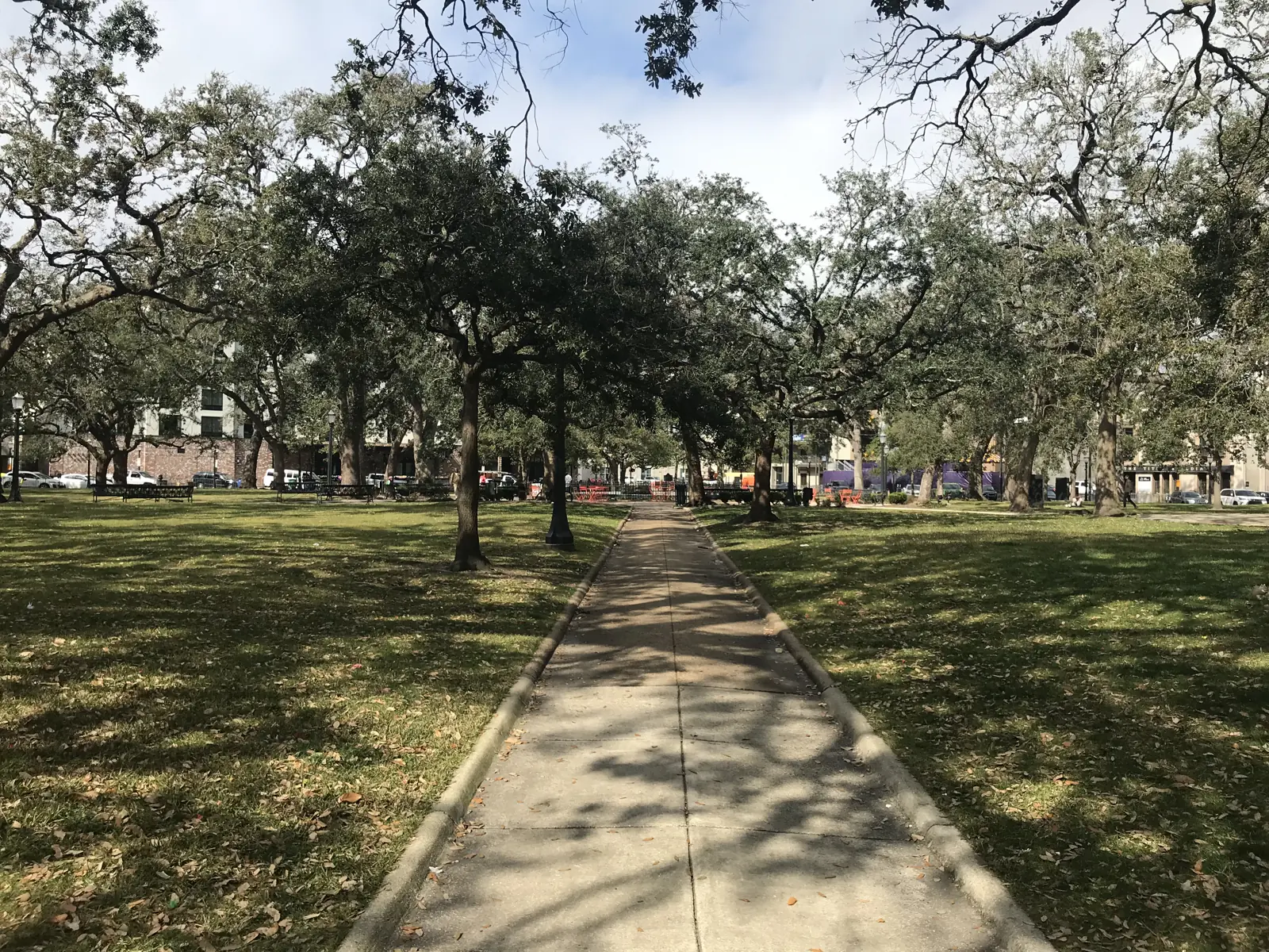 Live oak canopy over a historic Midtown Mobile street