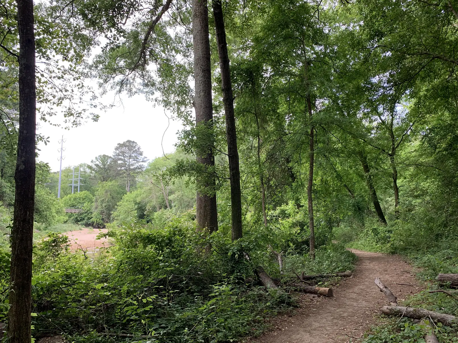 Wooded trail in the Morningside Nature Preserve in Atlanta