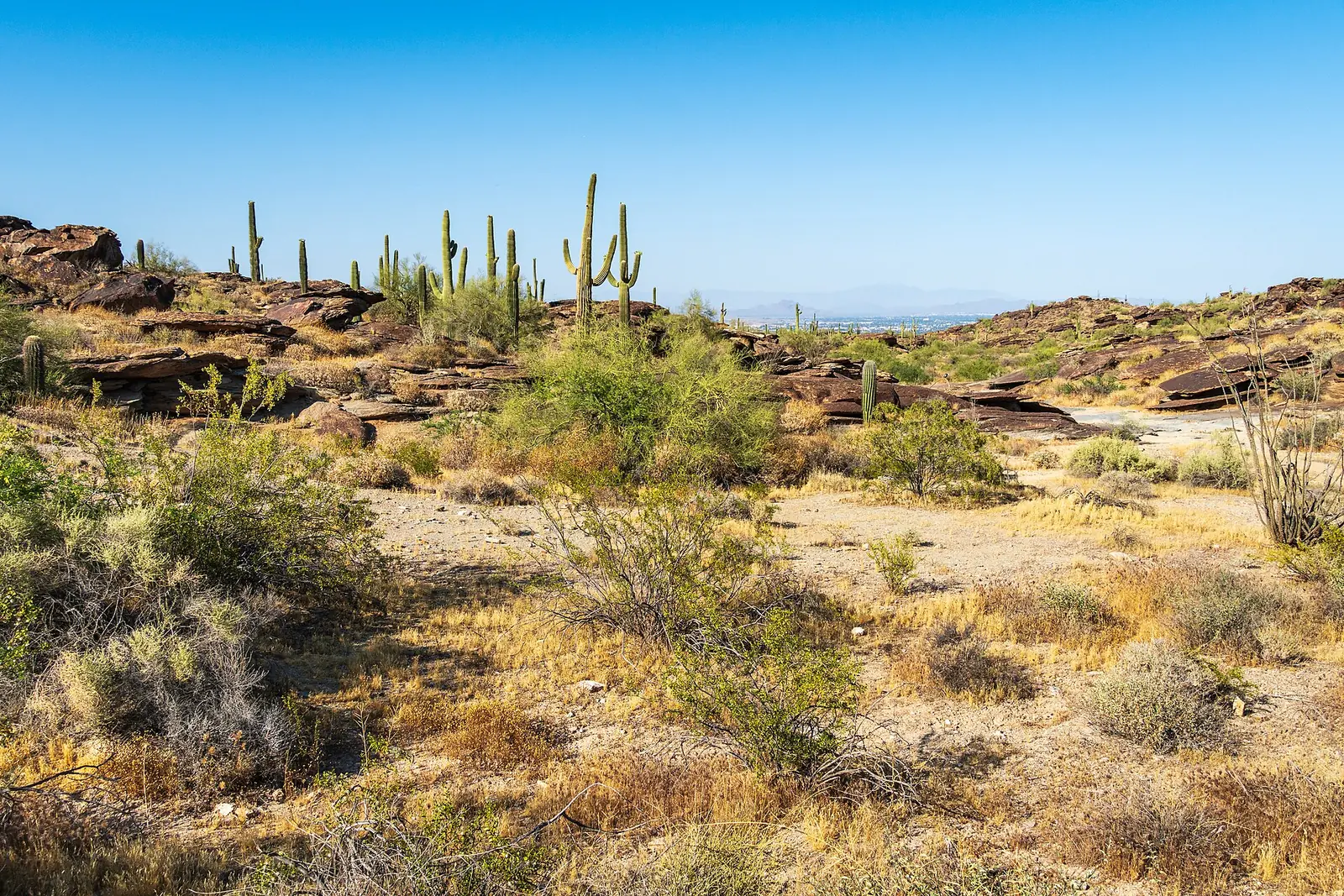 South Mountain Park, the ridge that separates Ahwatukee Foothills from the rest of Phoenix