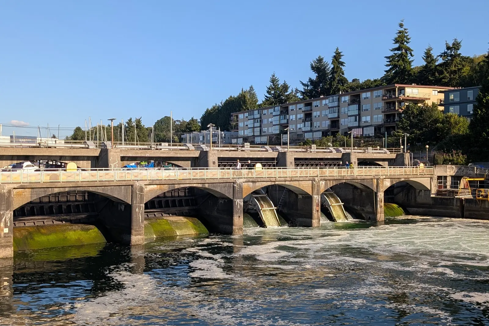 The Ballard Locks in Ballard, Seattle