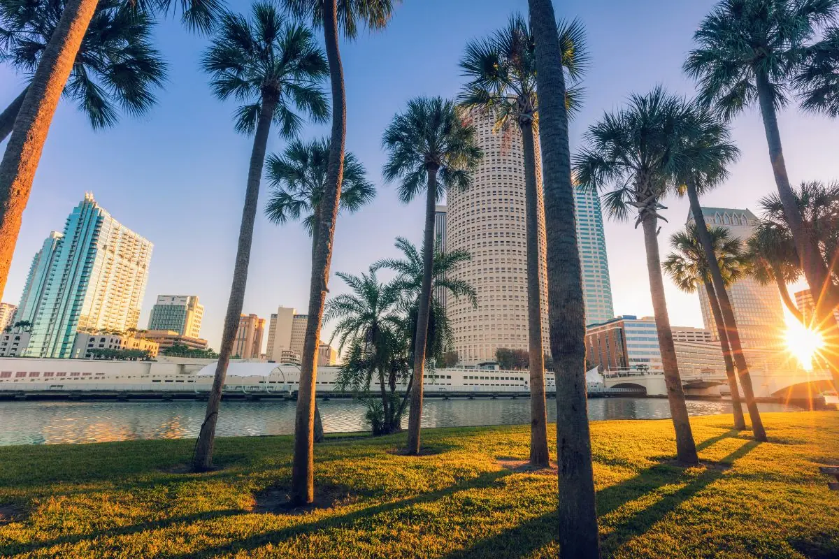 The downtown Tampa, Florida skyline from a palm-lined riverside park