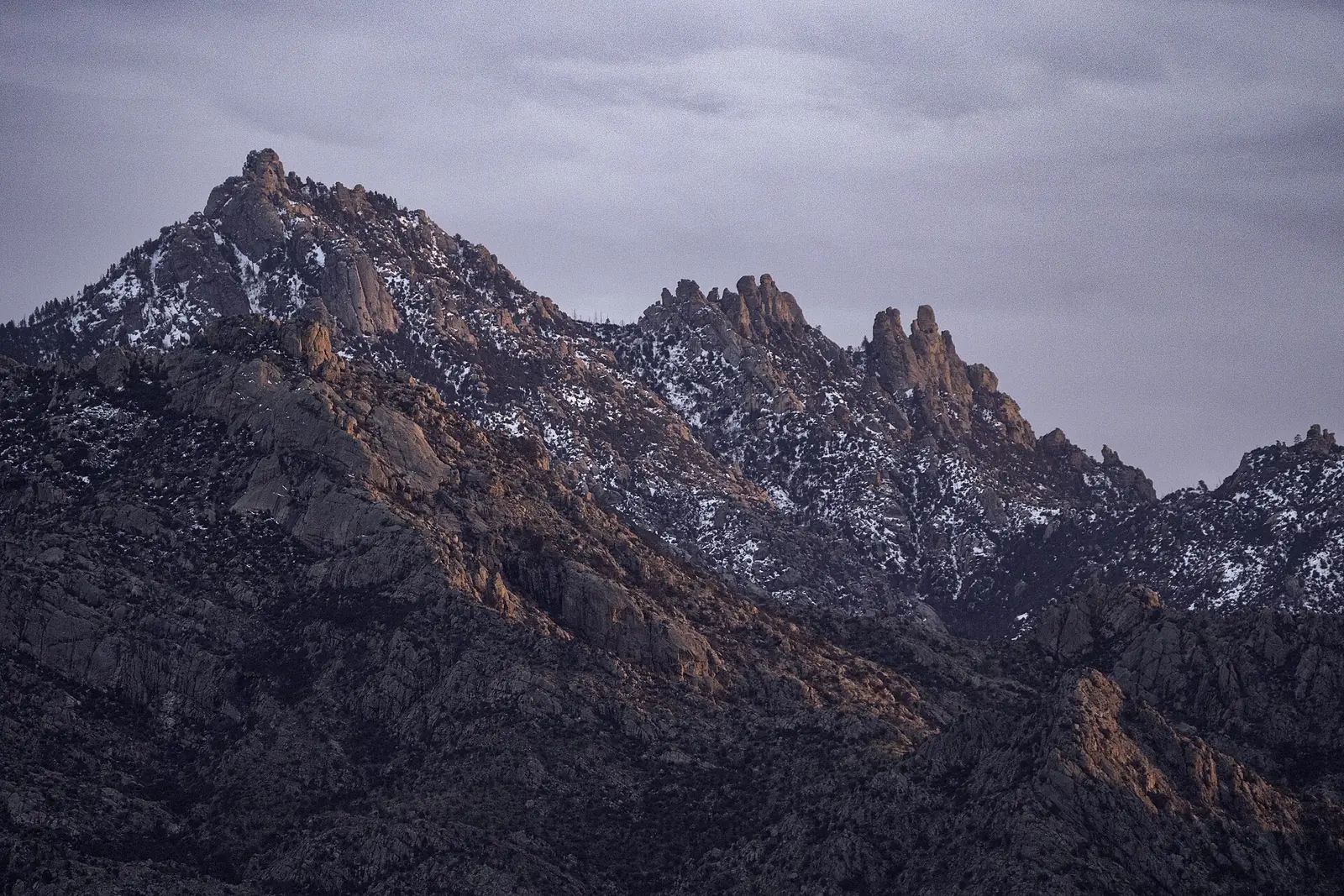 The Santa Catalina Mountains rising north of midtown Tucson