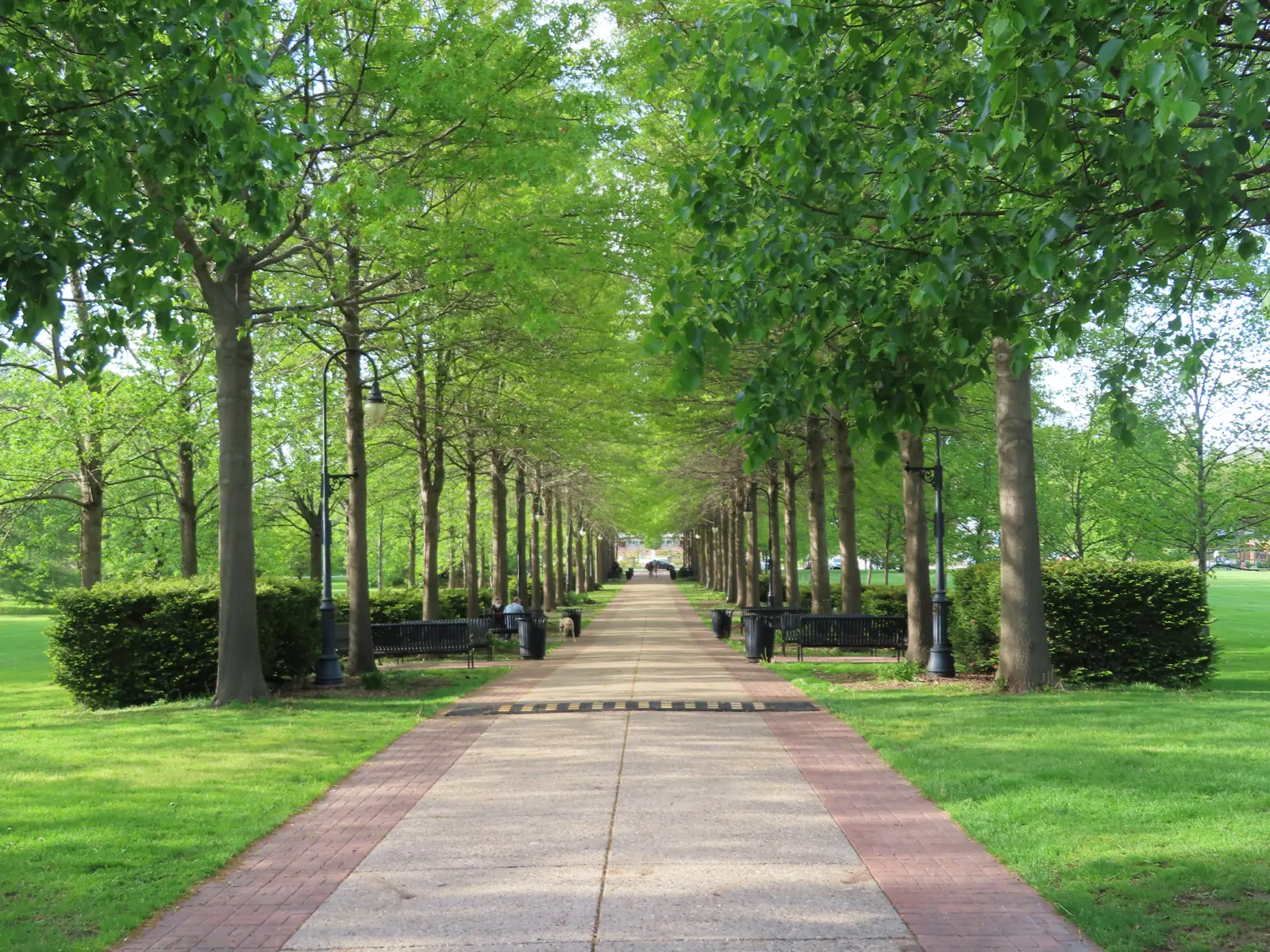 A tree-lined Davenport, Iowa park near the Central Davenport neighborhood