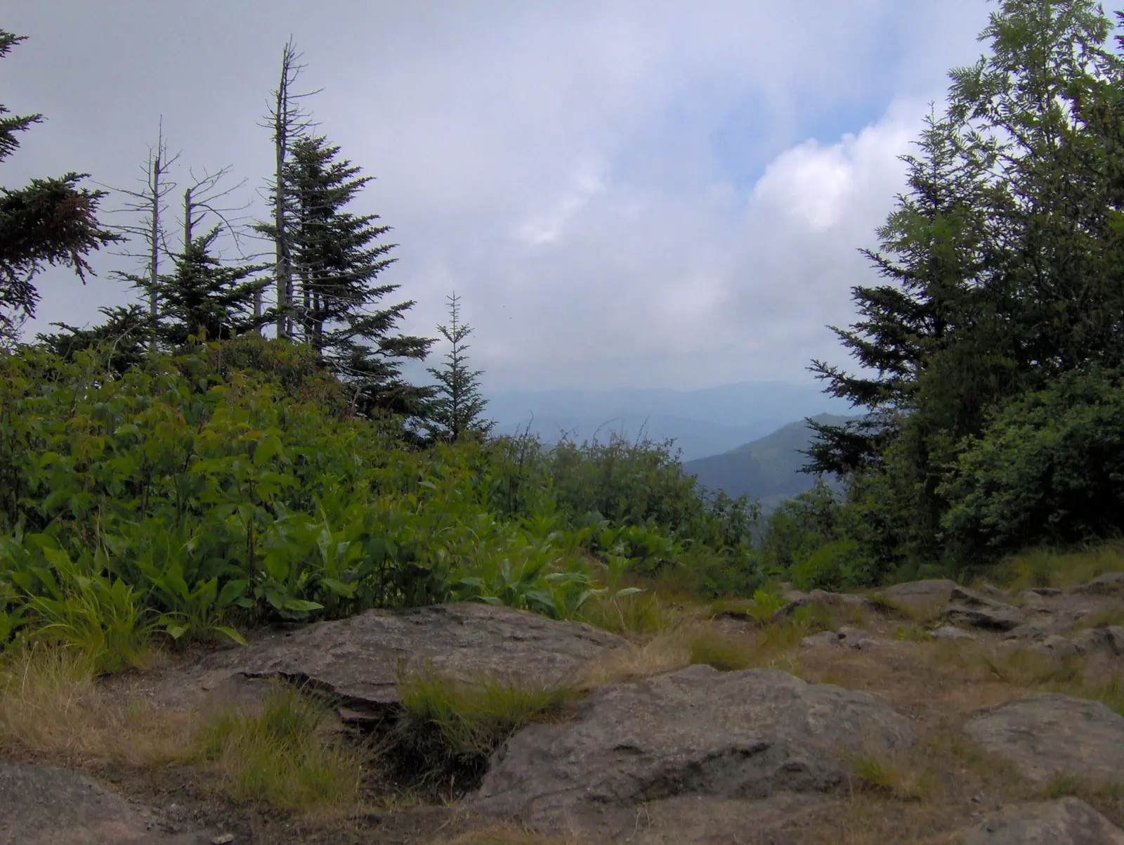 View from the Waterrock Knob summit on the Blue Ridge Parkway above Maggie Valley